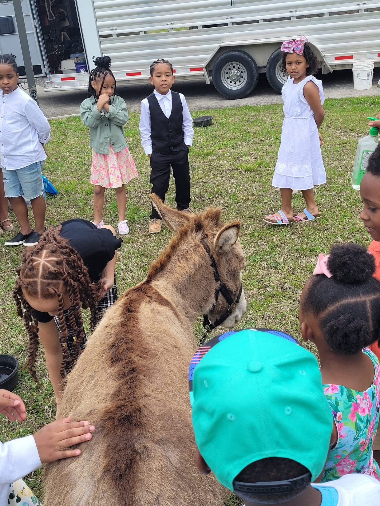 Children meeting a donkey on an academy outing